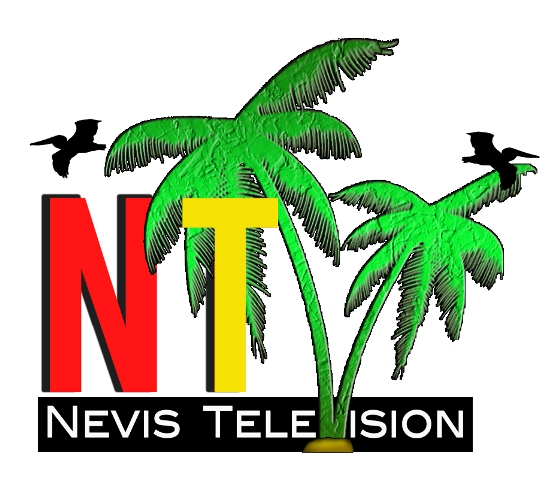 NTV logo